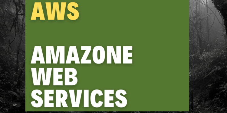 AWS Certification for IT Professionals