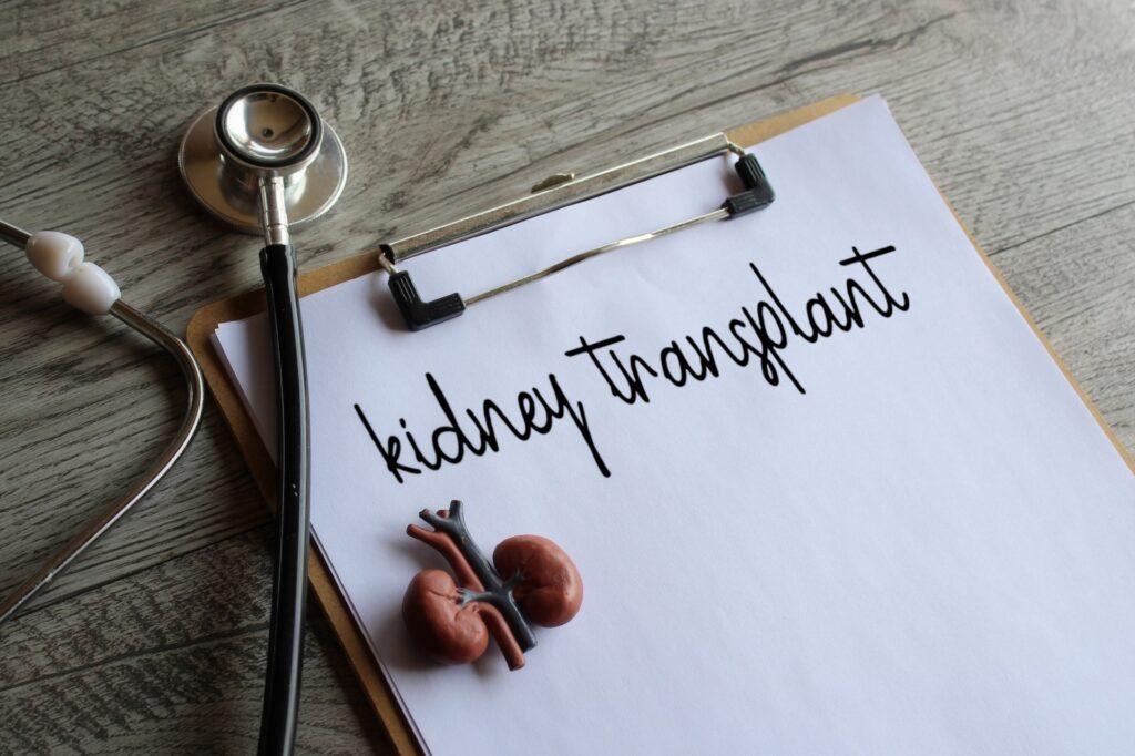 Supplements that Promote Kidney Health